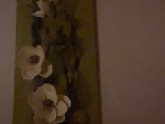 -Banana本娜娜·按摩养生SPA(上海湾店)