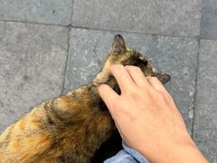 -协和菜馆(凤凰街店)