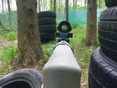 -黄海国家森林公园