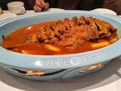 -阿五黄河大鲤鱼(纬三路店)