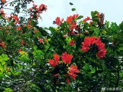 -火炉山森林公园