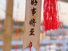 -绿野森林乐园冰雪季