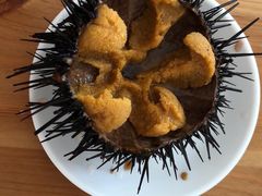 -海胆小馆(东北水饺·春柳店)