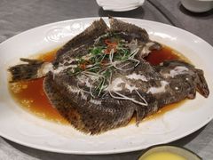 多宝鱼-广东道至正餐厅(区庄店)