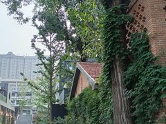 -西安电影制片厂