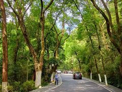 -岳麓山风景名胜区