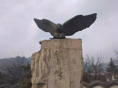 -北京鹫峰国家森林公园