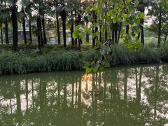 -上海怡沁园度假酒店