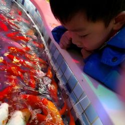 -堂堂乐儿童乐园(阳光100欧特福店)