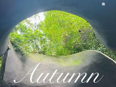 -三江森林温泉度假区