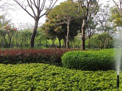 -白鹭洲公园