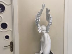 -紫洁俪方（北京）医疗美容