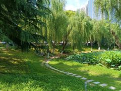 -后襄河公园