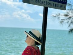 -北海金海湾红树林生态旅游区