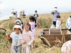 -艺年级儿童语言艺术中心(冉家坝爱融荟城店)