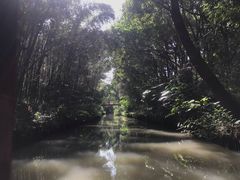 -同里国家湿地公园