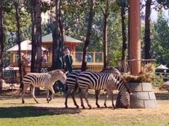 -大连森林动物园