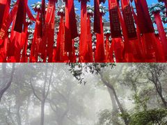 -灵顺寺