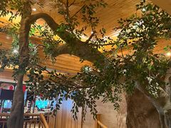 -阿斯牛牛·凉山菜(新会展店)