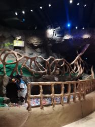 -探洞工场(丰科万达旗舰店)