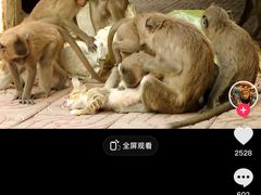 -昆明动物园