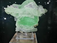 -中国地质大学逸夫博物馆