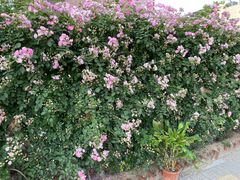 -不相离盐帮菜(郎园店)