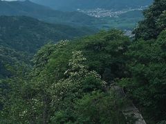 -午潮山国家森林公园