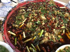 -东吴霸王兔(松青路店)