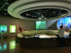 -陕西自然博物馆