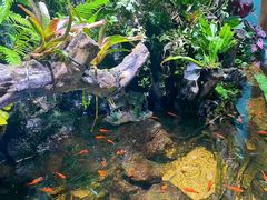 -太平洋海底世界