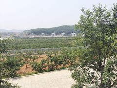 北马山庄-大连北马山庄