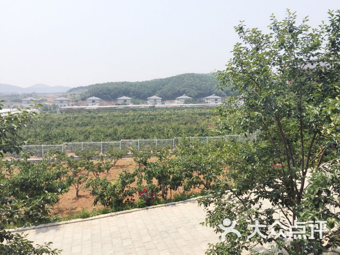 北马山庄-北马山庄图片-大连周边游-大众点评网