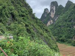 -明仕田园