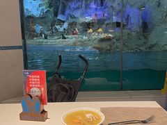 -帝企鹅自助餐厅•儿童岛•真企鹅(长隆企鹅酒店)