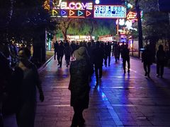 -哈尔滨文化公园