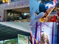 -陕西自然博物馆