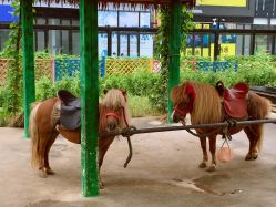 -萌宠亲子动物乐园(槐房万达店)