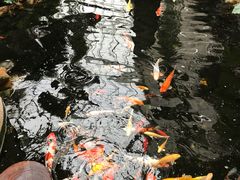 -龙源九号花园酒店(叶埠桥店)