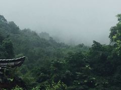 -峨眉山报国寺
