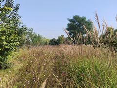 -汉长安城未央宫国家考古遗址公园