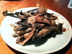 客家黑鸡肉-黑鸡小馆(金源店)
