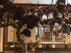 -西安华清御汤酒店