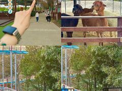 -盈香心动乐园