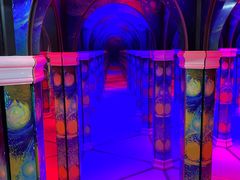-天津梵高星空艺术馆(天河城旗舰店)