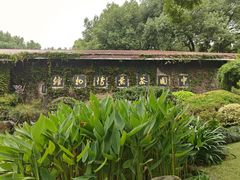 -中国茶叶博物馆(双峰馆区)