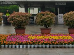 -秦始皇帝陵博物院-丽山园