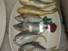 -大方圆酒楼(西门大街店)