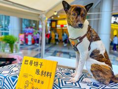 -米多分·越南小馆(南海万科广场店)