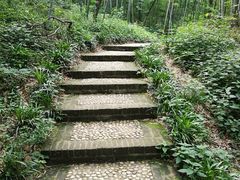 -南山风景名胜区